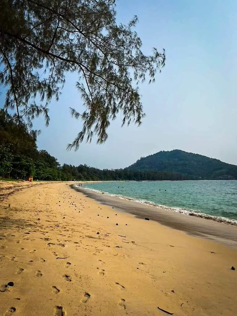 Casuarina-shaded shore of Nai Yang Beach